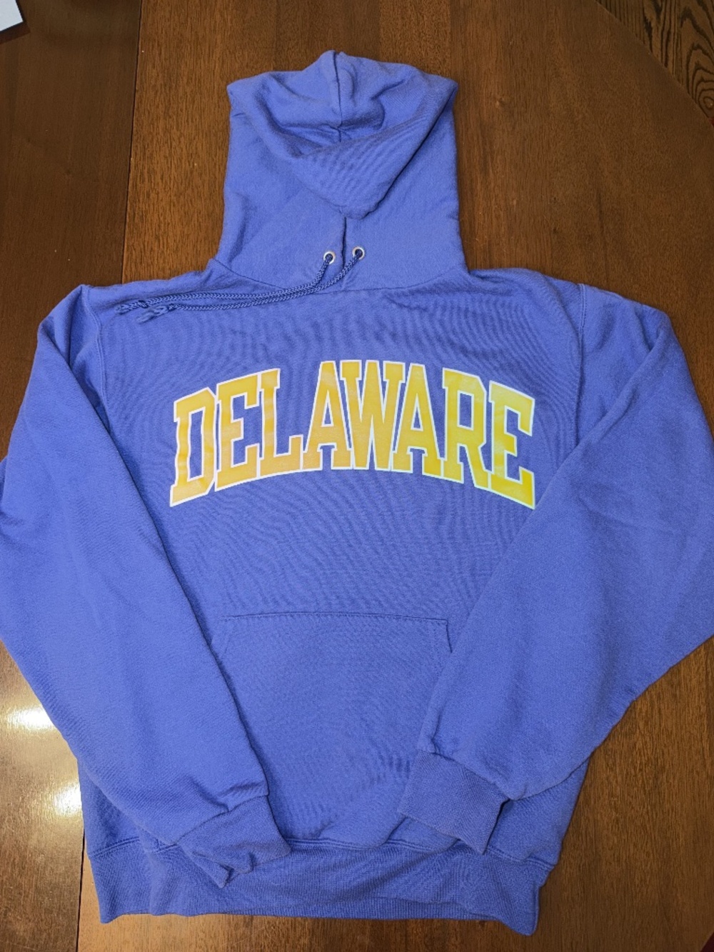 Univ of Delaware Champion Hoody - Size Small - Royal Blue